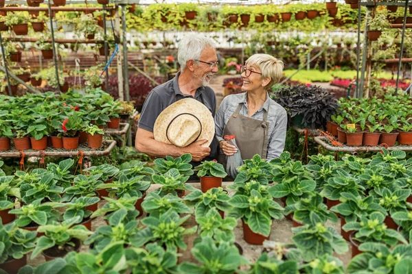 Happy Senior Couple Taking Care Flowers Plant Nursery Talking Each — Fotografia de Stock