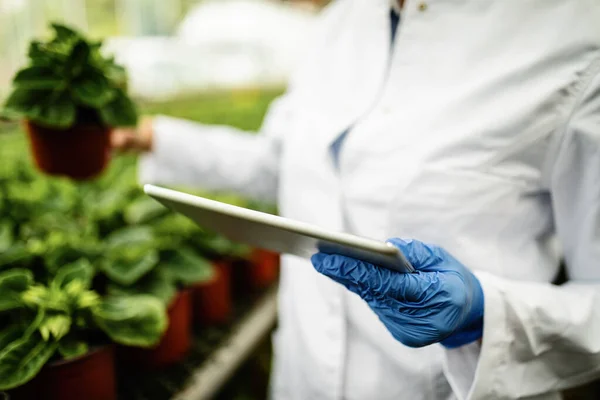 Close Scientist Using Digital Tablet Quality Control Inspection Greenhouse — Fotografia de Stock