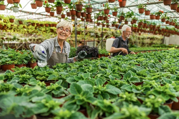 Happy Senior Florist Spraying Potted Flowers While Working Plant Nursery — Fotografia de Stock