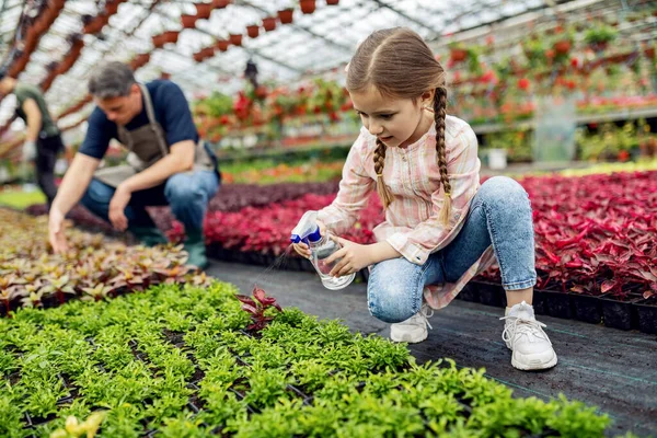 Cute Little Girl Using Spray Bottle Nourishing Plants Greenhouse Her — Fotografia de Stock