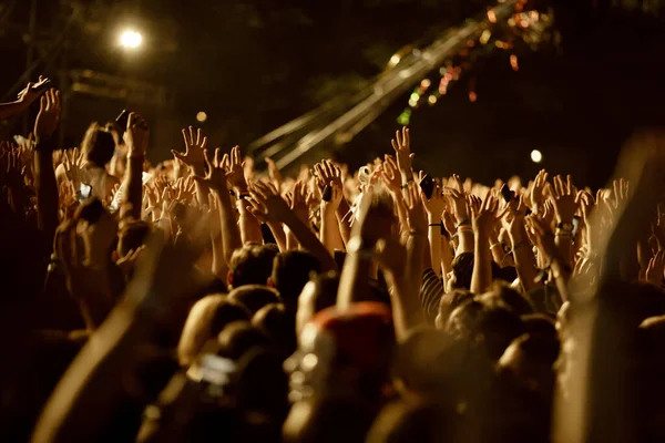 Large Group Fans Arms Raised Having Fun Music Concert Night — Stockfoto
