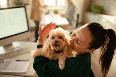 Asyalı iş kadını, dostluk ofisinde çalışırken köpeğiyle vakit geçiriyor.. 