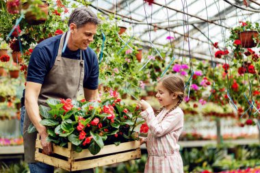 Happy father holding crate with flowers while his daughter is admiring them at plant nursery. 