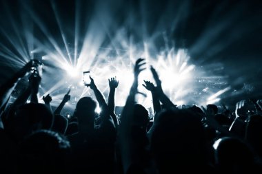 Rear view of crowd enjoying having fun in front of stage at music festival by night. Copy space. 