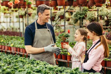 Happy family enjoying while working together at plant nursery. Little girl is holding potted flower. 
