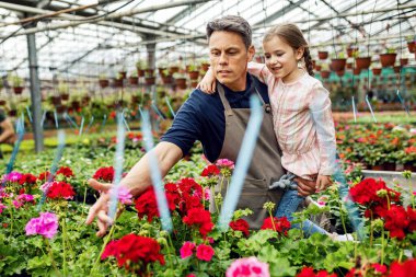 Florist holding his daughter and showing her flowers while working in a greenhouse. 
