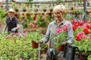 Happy mature woman enjoying while working with flowers in a garden center. 