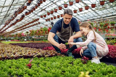 Happy little girl assisting her father with potted flowers while being at plant nursery. 