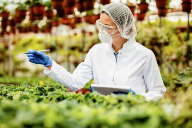 Female scientist inspecting potted plants and writing reports in a greenhouse. 