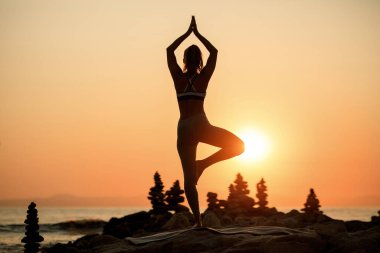 Back view of athletic woman practicing Yoga in a tree pose at dusk. Copy space. 