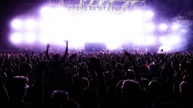 Back view of crowd of people having fun in front of illuminated stage at music concert by night. Copy space.