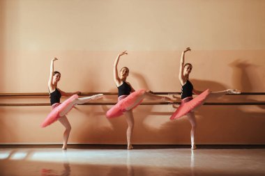 Group of happy teenage ballet dancer holding on a barre while practicing at ballet school and looking at camera. Copy space. 