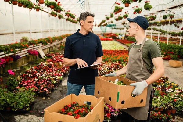 Two Greenhouse Workers Communicating While Preparing Flowers Market — Fotografia de Stock