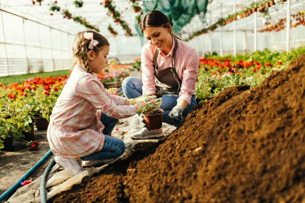Happy Mother Her Small Daughter Adding Soil Flower Pot While — Fotografia de Stock