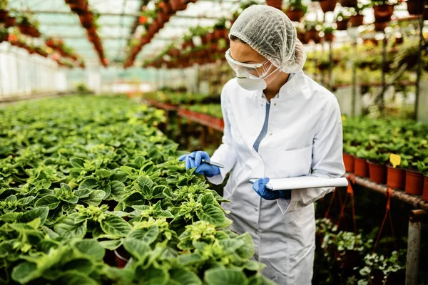 Female Bio Technician Doing Quality Control Inspection Plant Nursery — Fotografia de Stock