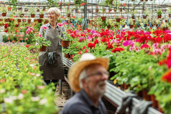 Happy Female Worker Walking Flower Greenhouse While Carrying Potted Geraniums — Fotografia de Stock