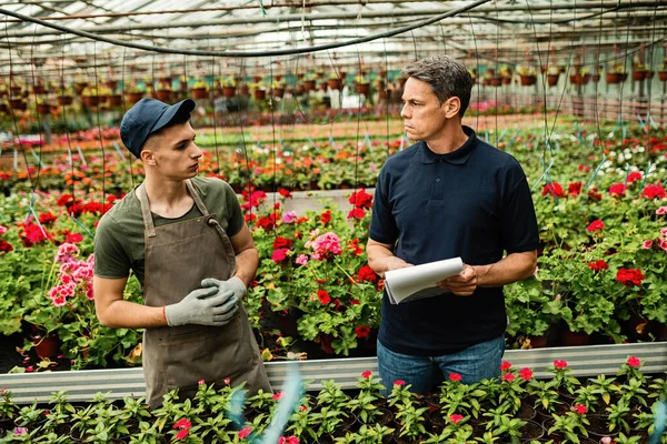 Greenhouse Owner Communicating Young Worker While Going List Flowers Together — Fotografia de Stock