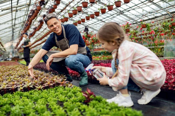 Happy Father Daughter Nourishing Potted Flowers While Working Together Plant — Fotografia de Stock