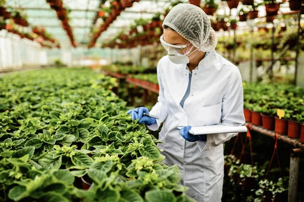 Female Botanist Examining Growth Potted Plants Greenhouse — Fotografia de Stock