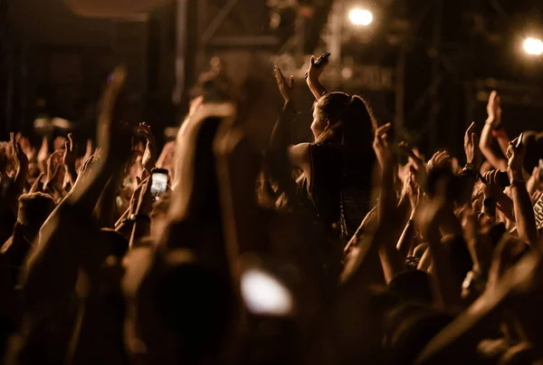 Large Group People Cheering Having Fun Music Concert — Stockfoto