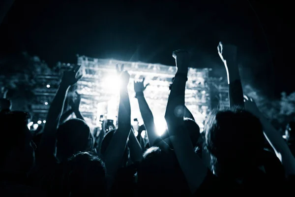 Rear View Excited Fans Arms Raised Having Fun Music Concert — Fotografia de Stock