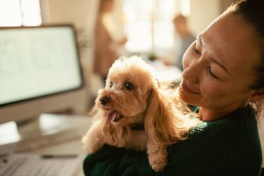 Asyalı serbest işçi, ofiste çalışırken köpeğiyle eğleniyor.. 