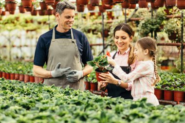 Happy parents and their small daughter taking care of flowers at plant nursery. 
