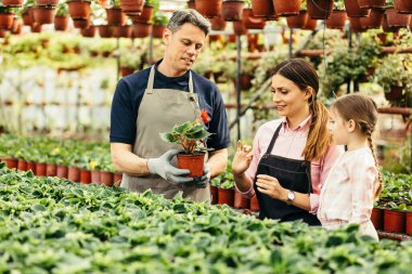 Smiling family working with plants in a greenhouse. Parents are teaching their little girl how to take care of flowers. 