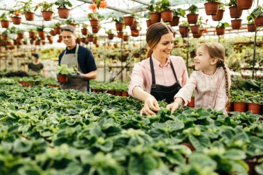 Happy little girl and her mother working with plants in a greenhouse. Father is in the background. 