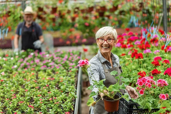 Happy Female Florist Showing Flower Sample Her Greenhouse Looking Camera — Fotografia de Stock