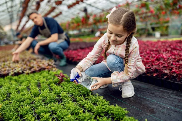 Smiling Little Girl Watering Potted Flowers While Working Her Father — Fotografia de Stock