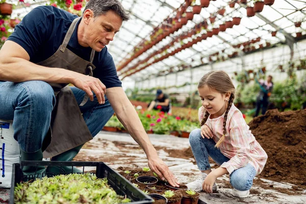 Father teaching his small daughter how to plant flowers at plant nursery.