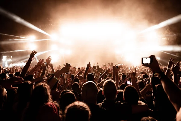Rear View Crowd Excited People Having Fun Front Stage Music — Foto Stock