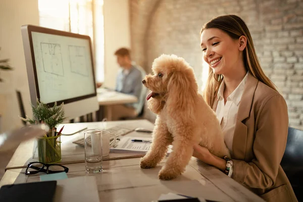 Young Happy Entrepreneur Her Dog Enjoying Office — Φωτογραφία Αρχείου