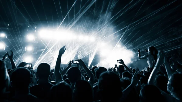 Rear View Concert Crowd Having Fun Live Performance Music Festival – stockfoto