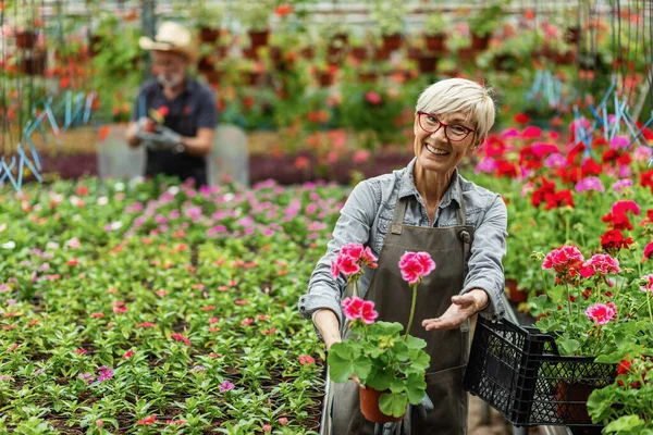 Happy Mature Woman Feeling Proud Her Flowers While Working Plant — Fotografia de Stock