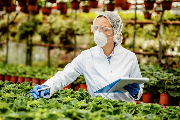 Female Agricultural Engineer Doing Quality Control Inspection Plant Nursery — Fotografia de Stock