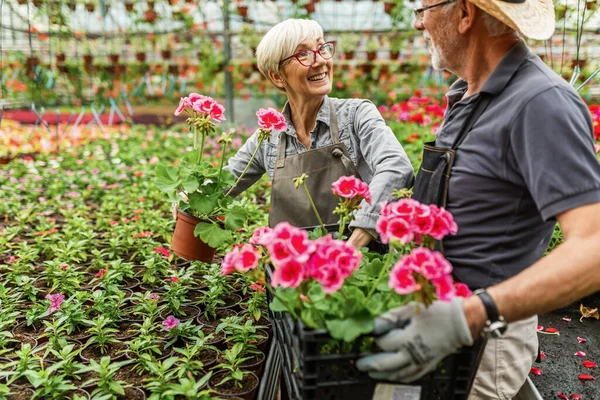 Happy Senior Woman Talking Her Coworker While Working Flowers Plant — Fotografia de Stock