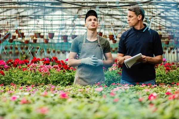 Greenhouse Owner Talking Young Worker While Inspecting Grown Flowers Market — Fotografia de Stock