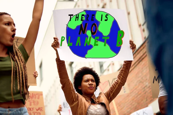 Low angle view of African American woman carrying banner with there is no planet B inscription while protesting with crowd of activists against climate changes.