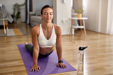 Young athletic woman in cobra pose exercising Yoga at home. 