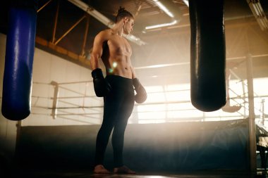 Boks kulübündeki antrenman sırasında kaslı dövüşçülerin düşük açılı görüntüsü. 