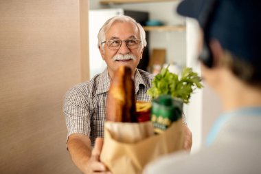 Happy senior man taking bag of groceries from deliverer while standing at doorway. 
