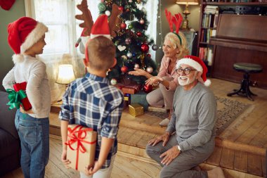 Small kids surprising their grandparents with presents on Christmas day at home. Focus is on senior couple. 