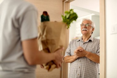 Happy mature man talking to a courier while receiving groceries delivery at home. 