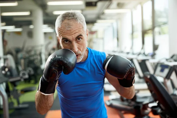 Orta yaşlı sporcu spor salonunda çalışırken ve kameraya bakarken boks yapıyor.. 
