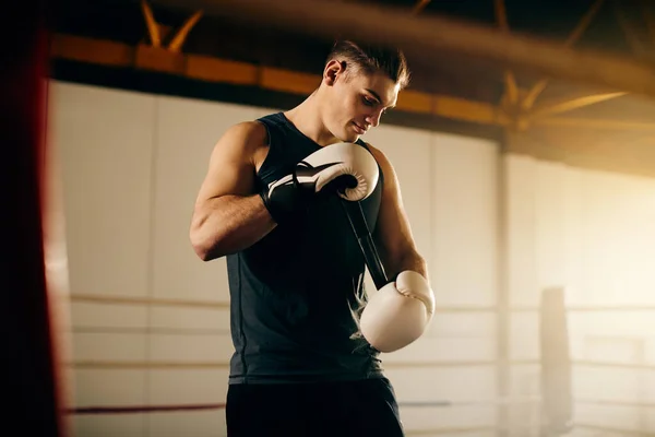 Young Boxes Preparing Sports Training Adjusting His Gloves Boxing Ring — Foto de Stock