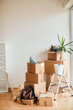 Potted plant and carton boxes with belongings in a new home. 