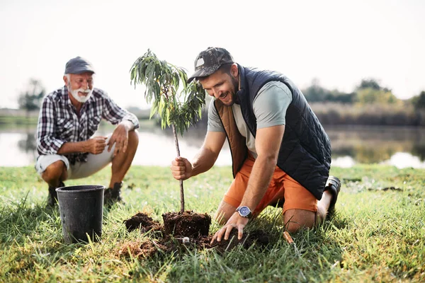 Happy adult son enjoying while planting tree with his senior father in nature.
