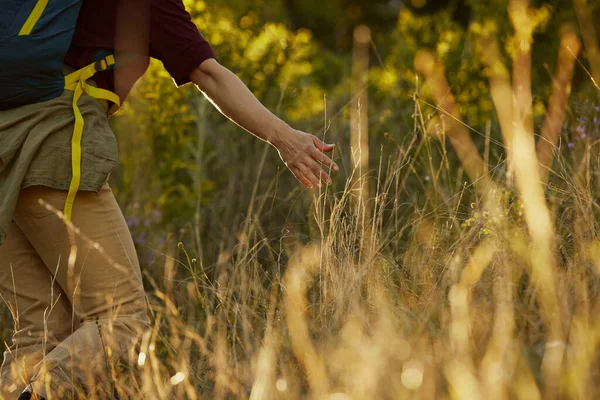 Unrecognizable Carefree Hiker Enjoying Nature Touching Tall Grass Her Hand — Stock Photo, Image
